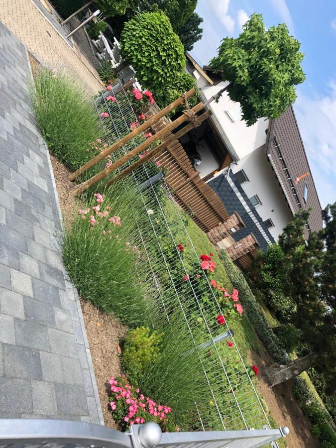 Ferienhaus Gluecksmoment Blankenburg  Extérieur photo